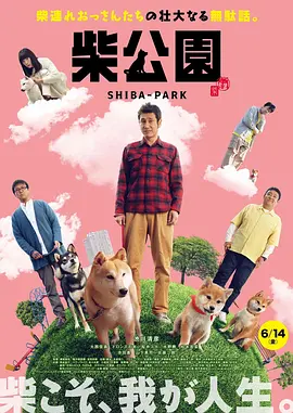 一区二区福利视频